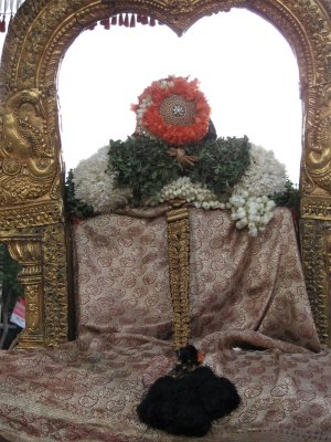 ThiruvAdipooram-Andal during Veedhi purappadu - Pin Azhagu.JPG