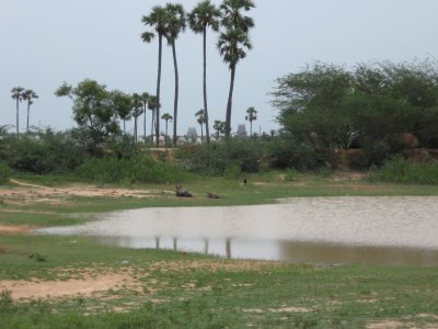 Devapperumal gopuram view from Salai Kinaru.JPG