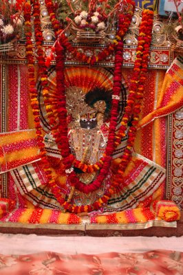 5. Govardhana Giridhari at Purana Govardhan Mandhir, Govardhanam .jpg