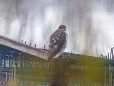 g4/95/360795/3/140255641.82WZTNGj.jpg