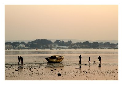 Mudflats Magnet