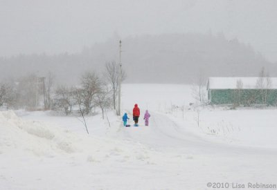 A Walk in the Snow (2)