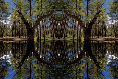 Portal to Middle Earth