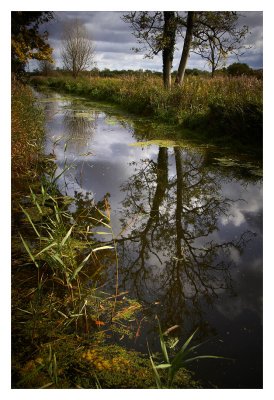 High tide at Wheatfen