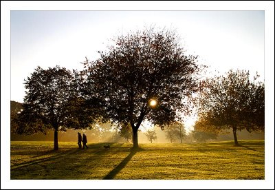 Early Morning Stroll