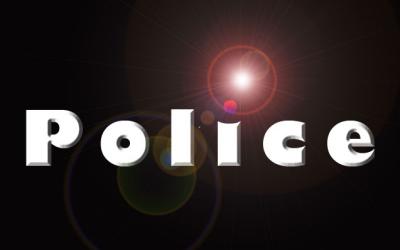 Assignment: Police