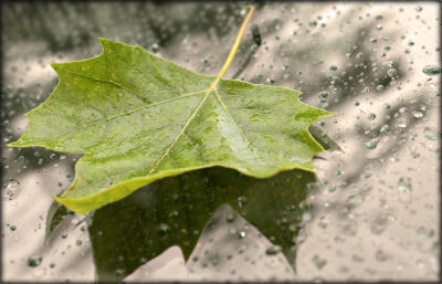 rain...