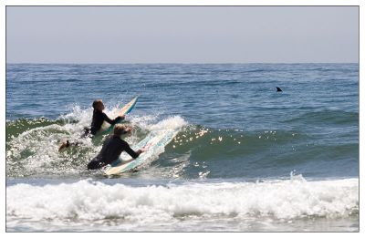 Let's go surfing!