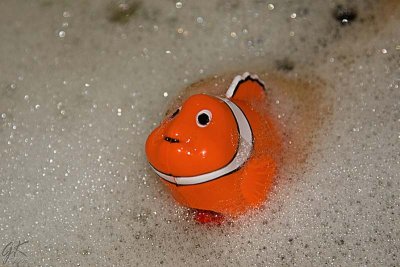 Fish bubbles