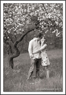 A Kiss under the Apple Blossoms