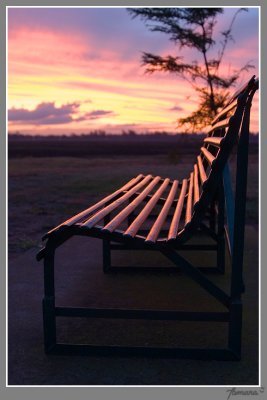Sunset bench