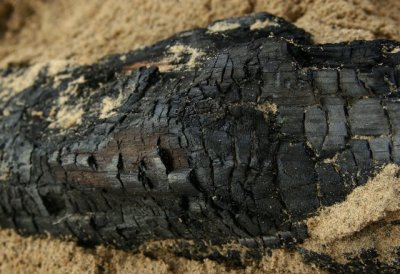 Scorched Driftwood