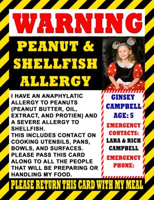 Ginsey's Allergy Card
