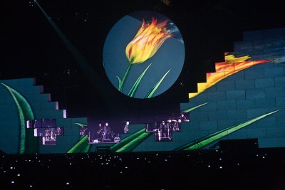 IMG_7474.jpg