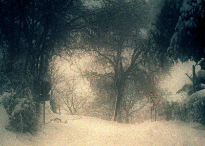 Scan-120219-0023c.jpg