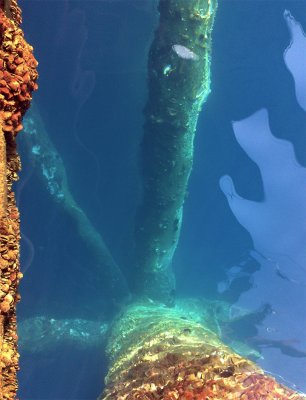Foppa Platformica 2