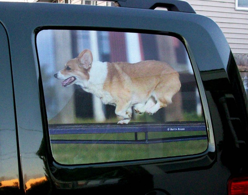 Driver side rear window screen
