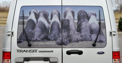 Ford Transit rear window screen