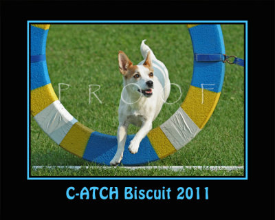 Hughes 8x10 Biscuit poster SGR_4671