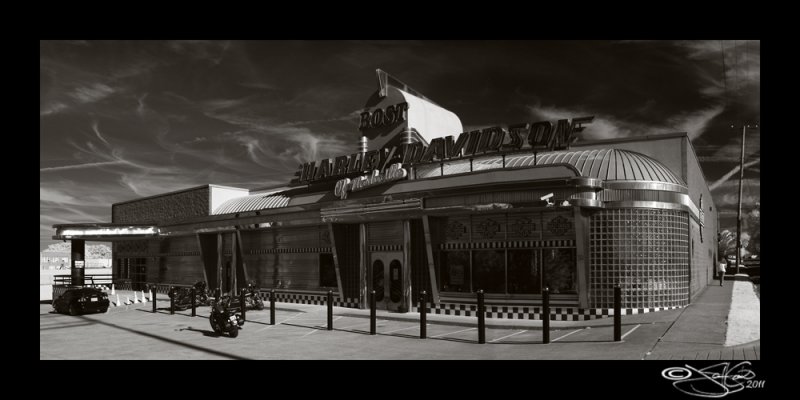 Bost H-D IR Panoramic