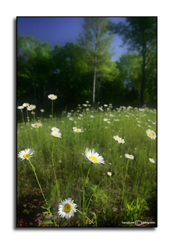 Oxeye Hill