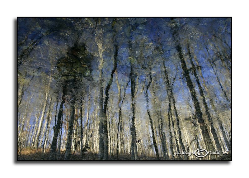 Up/Down the Hill<p>December 31