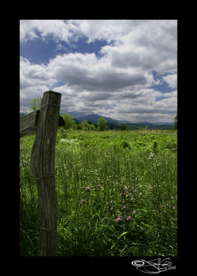 Cades Cove I