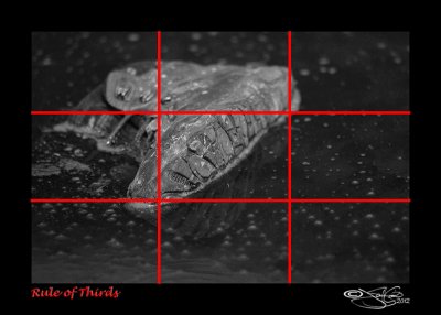 Rule of Thirds (Graphic)