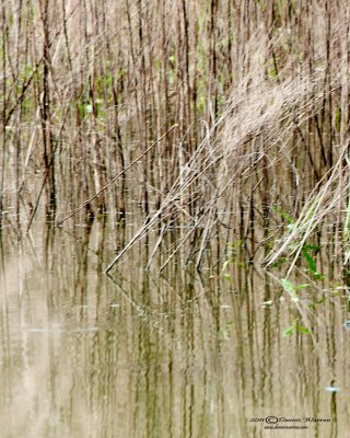 Waters Edge.jpg