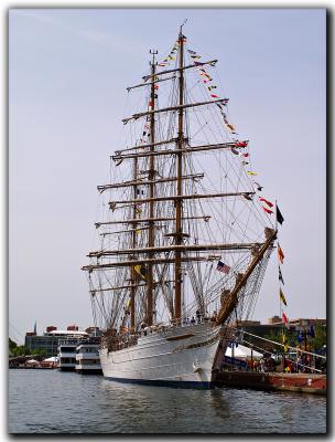 Ship A Hoy
