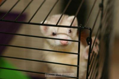 IMG_4343_20D.jpg