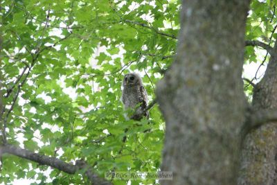 IMG_5049_20D.jpg
