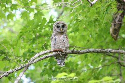 IMG_5051_20D.jpg