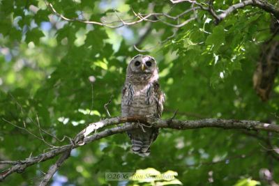 IMG_5053_20D.jpg