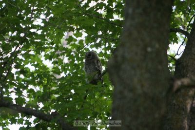 IMG_5054_20D.jpg