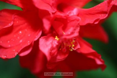 IMG_0096_5D.jpg