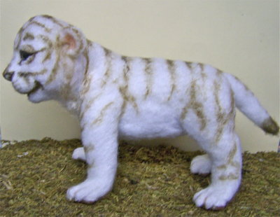SIDE VIEW OF WHITE TIGER CUB