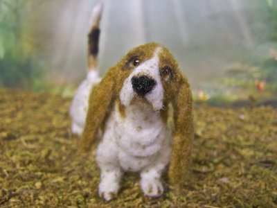 BASSETT HOUND