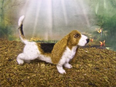 DOGS AND CATS CLICK ON IMAGE TO ENTER GALLERY