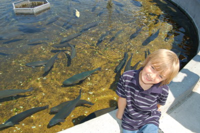 Great Falls Fish Hatchery