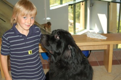 Lewis & Clark Dog