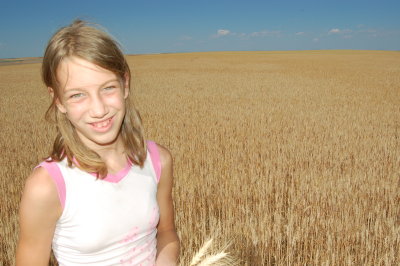 WheatField05.JPG