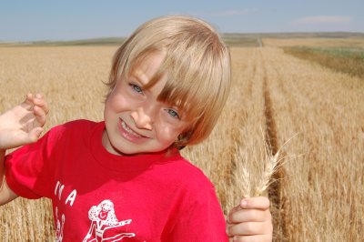 WheatField06.JPG