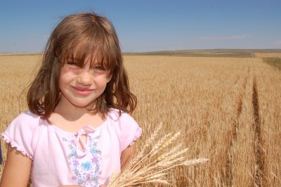 WheatField07.JPG