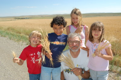 WheatField08.JPG