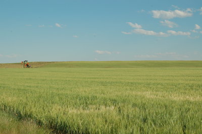 US89MTOil.JPG