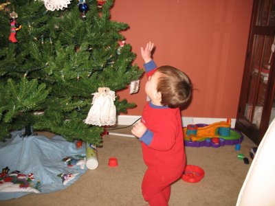 Img_7569.jpg