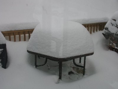 Img_7665.jpg