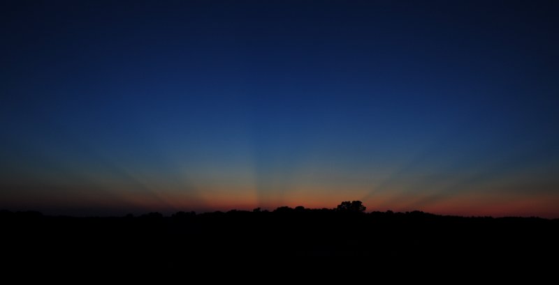 Crepuscular Rays