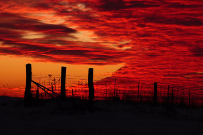 Sunset with Fence